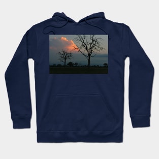 Pink Cloud in African Sky Hoodie